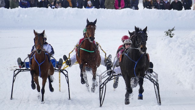 甄陶携手港 甄陶携手港