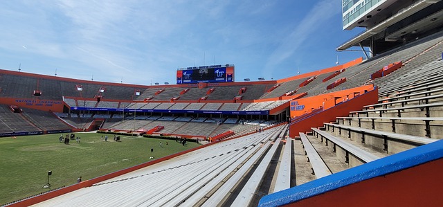 回顾莱切与 回顾莱切与