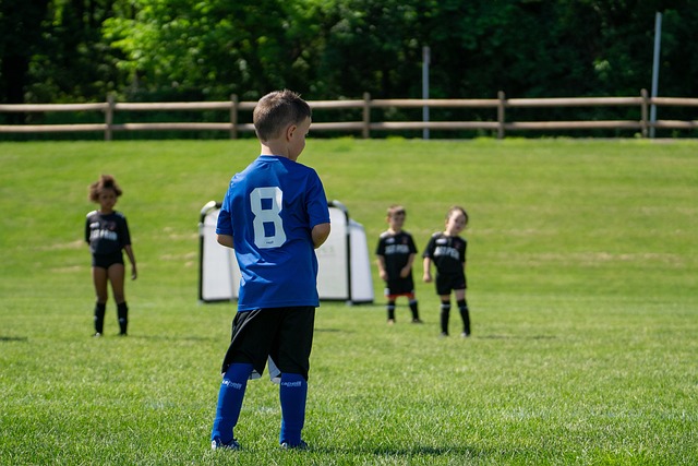 西部排名靠 西部排名靠