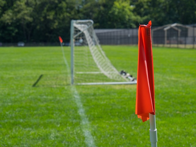 它更是各支 它更是各支